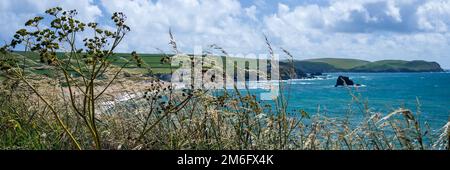 Passeggiate esplorare la costa a Thurlestone mare, Devon, Regno Unito Foto Stock