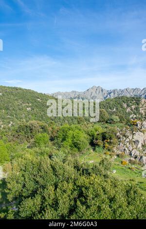 Scoperta dell'isola di bellezza nella Corsica meridionale, Francia Foto Stock