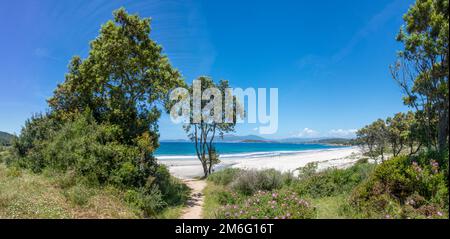 Scoperta dell'isola di bellezza nella Corsica meridionale, Francia Foto Stock