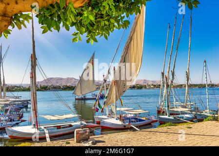 Barche a vela a Luxor Foto Stock