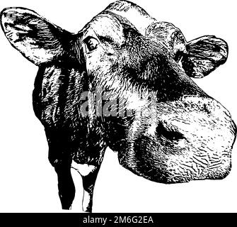 Disegno della mucca da latte in nero Illustrazione Vettoriale