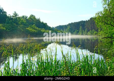 Alba sul fiume. Splendido paesaggio estivo. Il fiume è coperto di nebbia all'alba Foto Stock