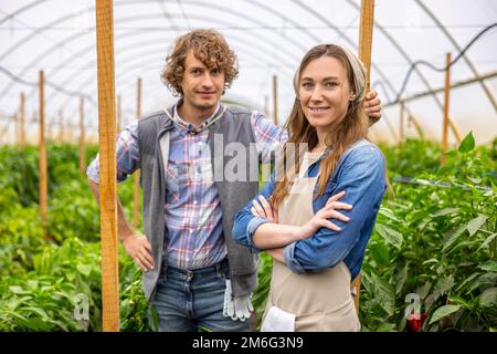 Coppia di agronomi in piedi tra le piante nella casa di riposo Foto Stock