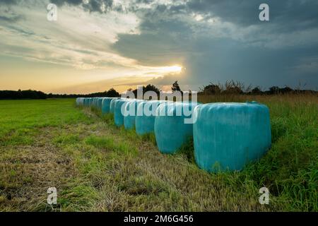 Balle di fieno in foglio e il tramonto dietro le nuvole Foto Stock