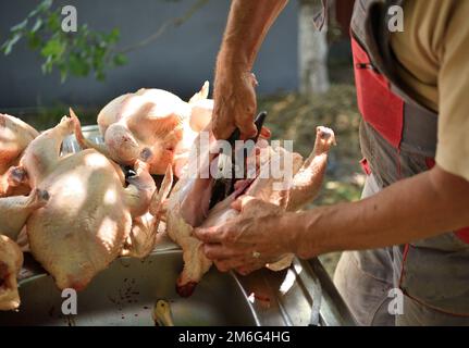 Un macellaio taglia a mano un pollo per la carne dalle interiora nel modo tradizionale Foto Stock