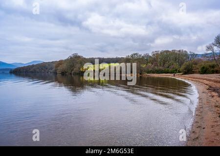 Milarrochy Bay sulla riva orientale di Loch Lomond, vicino al villaggio di Balmaha in Scozia, Regno Unito Foto Stock