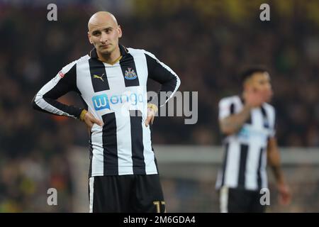 Jonjo Shelvey of Newcastle United - Norwich City / Newcastle United, Sky Bet Championship, Carrow Road, Norwich - 14th febbraio 2017. Foto Stock