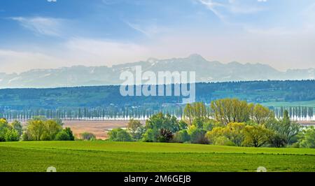 Vista sul lago di Costanza vicino ad Allensbach Foto Stock