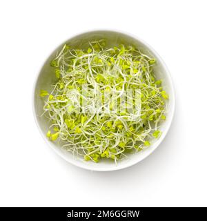 Germogli di broccoli freschi in ciotola bianca isolato Foto Stock