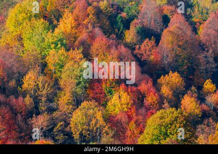 Inegozil, Bursa, Turchia - Settembre 2022: Vari alberi che riflettono i diversi colori dell'autunno dall'alto Foto Stock