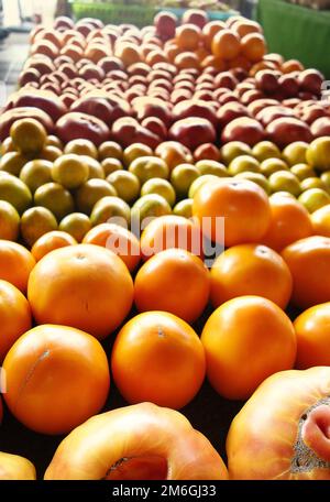 I pomodori coltivati di cimelio della Carolina del Nord locali per la vendita al mercato degli agricoltori di Stato a Raleigh Foto Stock