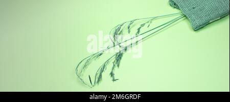 Le spikelets asciutte e una borsa di lino si trovano su uno sfondo verde, Abstract erbe secche per un arredamento elegante casa. Primo piano, appartamento, Foto Stock