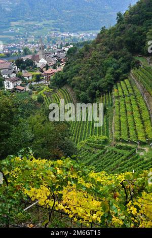 Vista del villaggio di Lagundo, Alto Adige, Val Venosta, Italia, Foto Stock