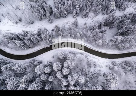 Vista aerea di una bella strada innevata e tortuosa attraverso la foresta di abete rosso dopo la tempesta di neve sulle montagne in Slovenia Foto Stock