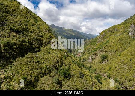 Montagne boscose, vista dal sentiero a Levada das 25 Fontes, Rabacal, Madeira, Portogallo Foto Stock