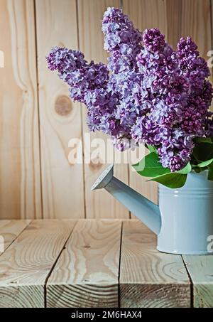 vista verticale fiori di lilla in annaffiatoio bianco su legno Foto Stock