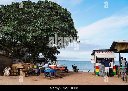 Albero di mango, gente, vita di villaggio, spiaggia, lotteria, Elmina, Golfo di Guinea, Ghana Foto Stock