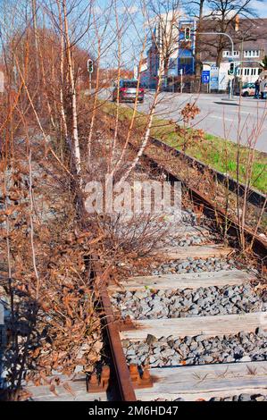 Tram morto, ex linea del tram, in disuso, con alberi e macchia, Sendling, Monaco, Baviera Foto Stock