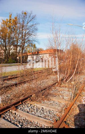 Tram morto, ex linea del tram, in disuso, con alberi e macchia, Sendling, Monaco, Baviera Foto Stock
