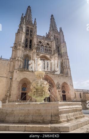 La Cattedrale di Santa Maria a Burgos, Spagna. Foto Stock