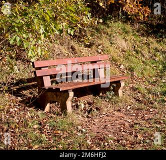 Una panchina del parco nella luce d'autunno lungo un sentiero escursionistico. Foto Stock