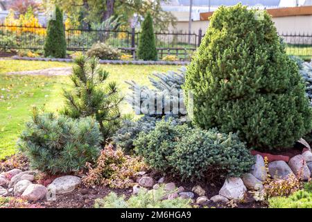 Immagini Stock - Polvere Rossa Decorativa A Base Di Corteccia D'albero Con  Tubi Di Irrigazione Nella Progettazione Del Paesaggio,. Image 113795718