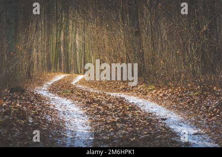 Una strada tortuosa attraverso una foresta misteriosa Foto Stock