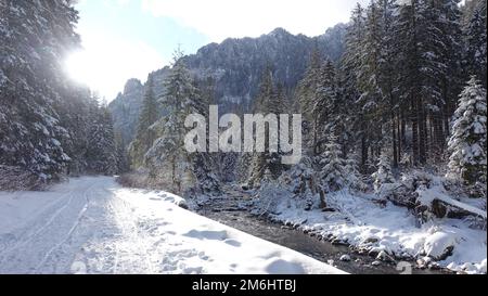 Un lento ruscello di montagna che scorre attraverso la foresta di foreste coperte di neve nella Valle di Koscieliska, i Monti Tatra sullo sfondo, Polonia Foto Stock