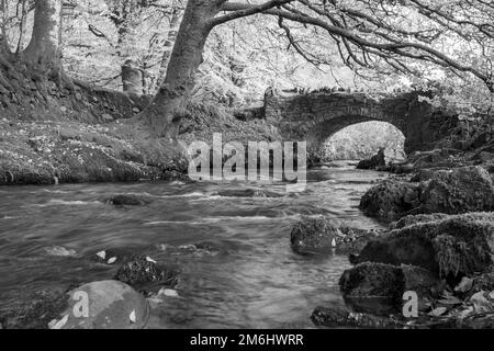 Il fiume d'acqua di Weir che scorre sotto il ponte Robbers nel Parco Nazionale di Exmoor Foto Stock