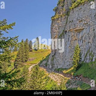 Sentiero escursionistico ad alta quota nei pressi di Hoher Kasten Appenzell Innerrhoden, Svizzera Foto Stock