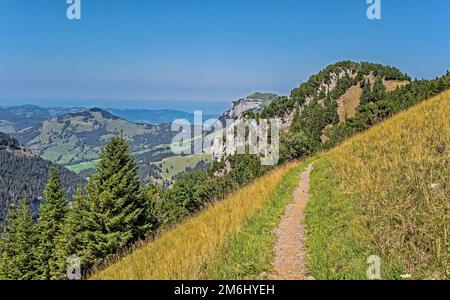 Alta quota Sentiero escursionistico Hoher Kasten, Canton Appenzell Innerrhoden, Svizzera Foto Stock