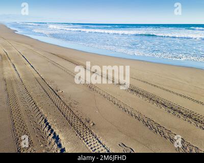 Panama, provincia di Chiriqui, spiaggia di Barchetta, gommisti sulla riva sabbiosa Foto Stock