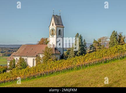 Chiesa riformata Unterstammheim, Canton Zurigo, Svizzera Foto Stock