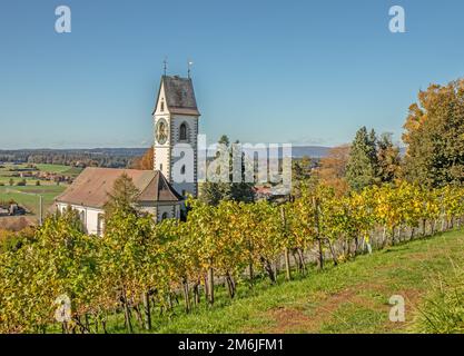 Chiesa riformata Unterstammheim, Canton Zurigo, Svizzera Foto Stock