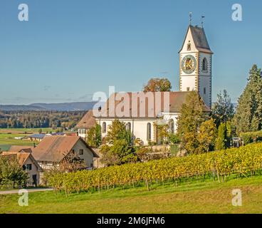 Chiesa riformata Unterstammheim, Canton Zurigo, Svizzera Foto Stock