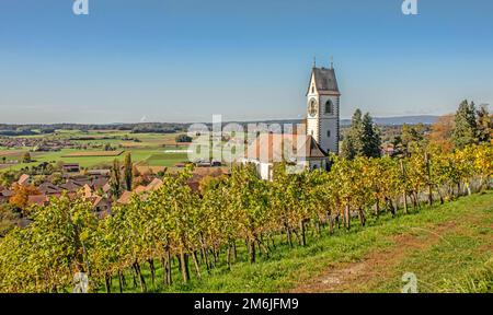 Chiesa riformata Unterstammheim, Canton Zurigo, Svizzera Foto Stock