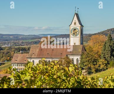 Chiesa riformata Unterstammheim, Canton Zurigo, Svizzera Foto Stock