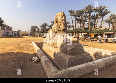 Memphis, Egitto - 14 novembre 2021: Statua della Sfinge della regina Hatshepsut nell'antica città di Memphis, Egitto Foto Stock