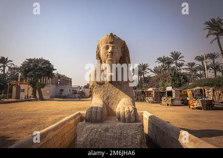Memphis, Egitto - 14 novembre 2021: Statua della Sfinge della regina Hatshepsut nell'antica città di Memphis, Egitto Foto Stock