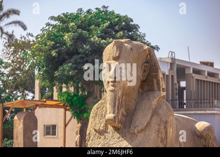 Memphis, Egitto - 14 novembre 2021: Statua della Sfinge della regina Hatshepsut nell'antica città di Memphis, Egitto Foto Stock