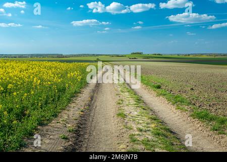 Un paesaggio di campi primaverili con una strada rurale nella Polonia orientale Foto Stock