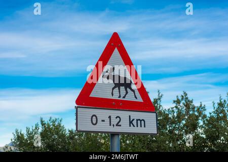 Segnale di avvertimento di alci o alci in Norvegia Foto Stock