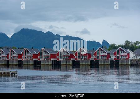 Tipiche case rosse nel porto di Svolvaer, Isole Lofoten, Norvegia Foto Stock