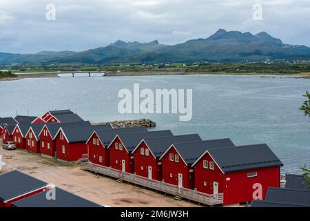 Tipiche case rosse nel porto di Svolvaer, Isole Lofoten, Norvegia Foto Stock