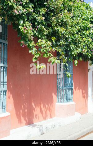 Strada colorata di Cartegena. Architettura coloniale Foto Stock