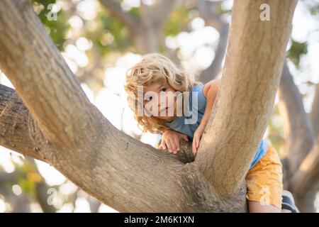 ragazzo di 8 anni che si arrampica su un albero alto nel parco. Superare la paura delle altezze. Buona infanzia. Capretto che cerca di arrampicarsi sull'albero. Foto Stock