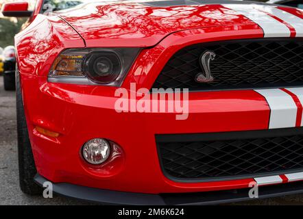 Cofano anteriore e griglia di una Ford Carol Shelby GT500 rossa con l'emblema Cobra sulla griglia. Foto Stock