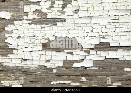 Vernice bianca rotta su legno vecchio. Può essere usato come sfondo o come texture. Foto Stock