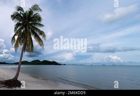 Spiaggia all'Isola Koh Yao Yai thailandia, spiaggia con sabbia bianca e palme Foto Stock