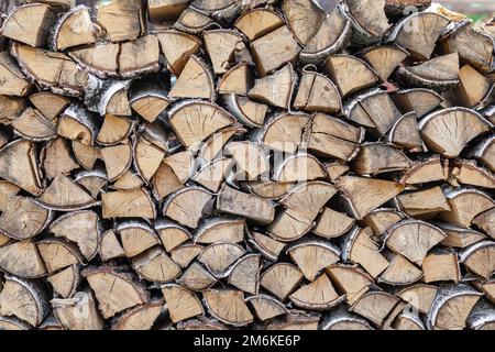 Pila di legna da ardere di betulla in natura nel villaggio primo piano Foto Stock